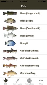 Freshwater Fishing Guide