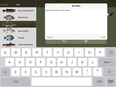 Freshwater Fishing Guide