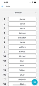 Baseball Lineup Cards