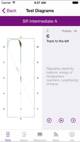 FEI EquiTests 3 - Dressage