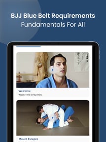 BJJ Blue Belt Requirements 1.0