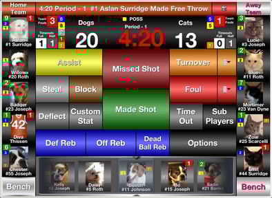 iTouchStats Basketball