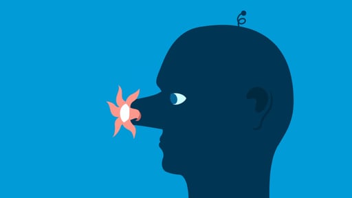 The Vectorpark Bundle