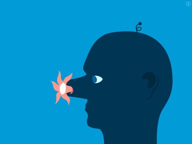 The Vectorpark Bundle