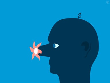 The Vectorpark Bundle