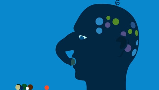 The Vectorpark Bundle