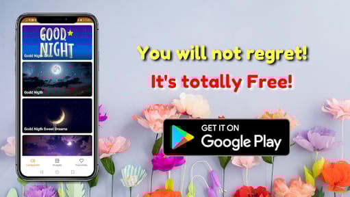 Good Morning Afternoon Night