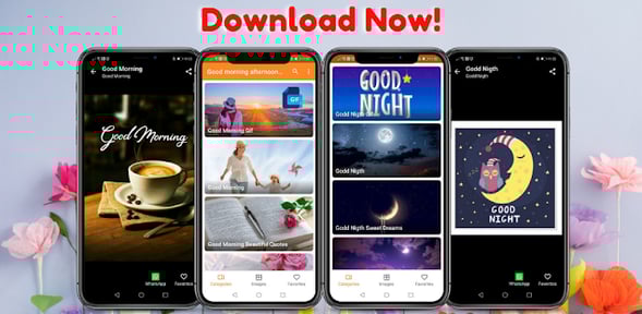 Good Morning Afternoon Night