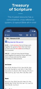 Blue Letter Bible