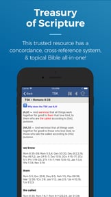 Blue Letter Bible