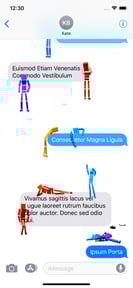 Everything Fun with Ragdolls