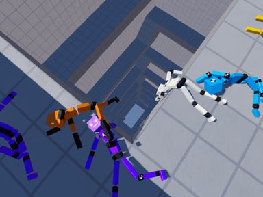 Everything Fun with Ragdolls
