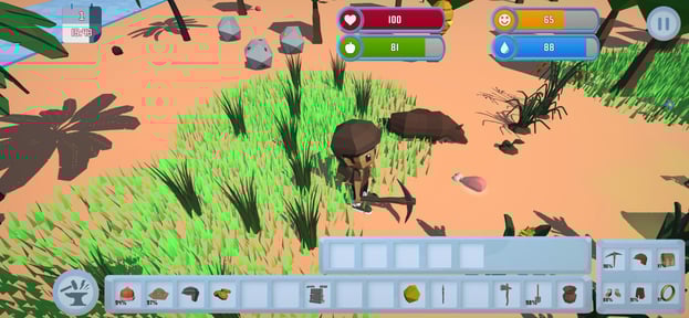 Survival In The Wilderness