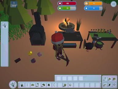 Survival In The Wilderness