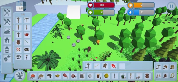 Survival In The Wilderness