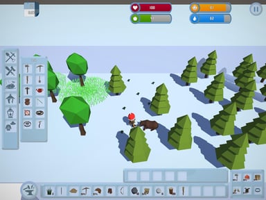 Survival In The Wilderness