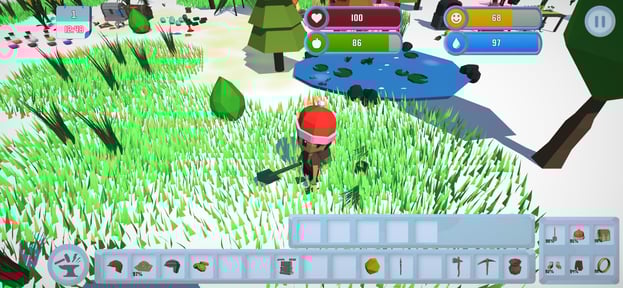 Survival In The Wilderness