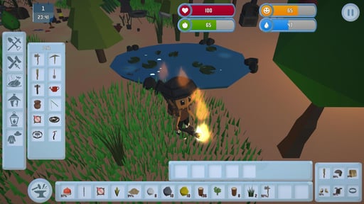 Survival In The Wilderness