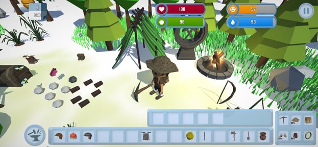 Survival In The Wilderness