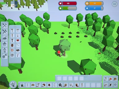 Survival In The Wilderness