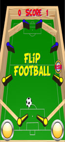 Flip Football Pro