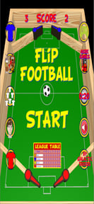 Flip Football Pro