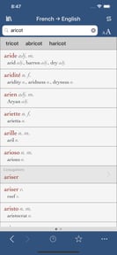 French-English Translation Dictionary and Verbs