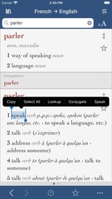 French-English Translation Dictionary and Verbs