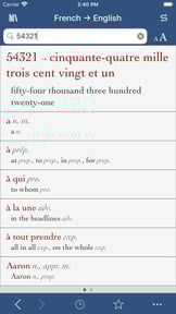 French-English Translation Dictionary and Verbs