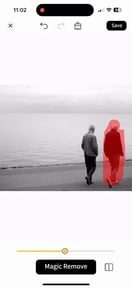 Bear Eraser - AI Remove Object