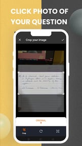 Get Answers from Images