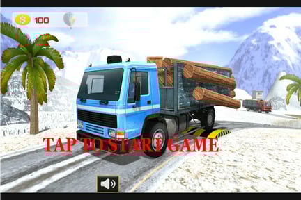 Indian truck Simulator 3D