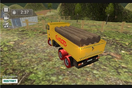 Indian truck Simulator 3D