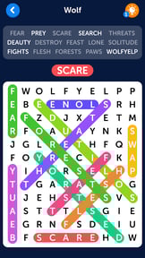 Word Search