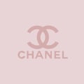 CHANEL Offers an up to 35% Discount Hurry up As it Won't Last