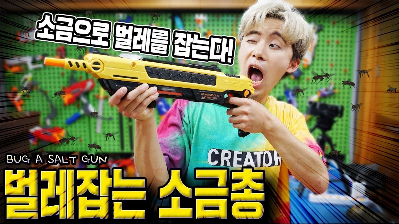 총알 대신 소금으로 파리,모기,나방 다잡아버렸습니다ㅋㅋㅋ벌레잡는 솔트건 (Bug a Salt Gun)