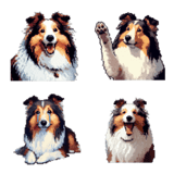 ドット絵 シェットランドシープドッグ