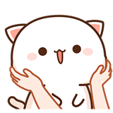 もちもち動く猫ちゃん4