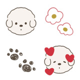 韓国風♡落書きみたいなビションフリーゼ〇