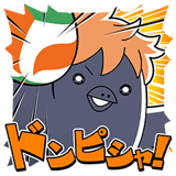 ハイキュー！！ヒナガラス