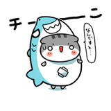 スコティッシュな猫