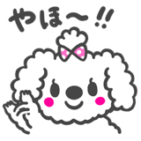 わたあめ犬 モッピー