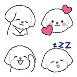 ふわもこマルチーズ犬の顔文字