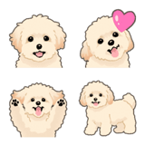 マルプー（犬）