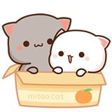 もちもち動く猫ちゃん6