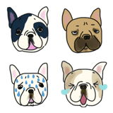 やっぱりかわいいフレンチブルドッグ