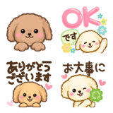 トイプードルたちのハッピーな日常