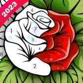 Color Painting-Color by Number