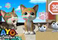 Happy International Cat Day!😸 | Tayo and the Cat Episodes Compilation | Tayo the Little Bus