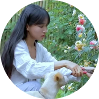 (笋)Best Time of Year to Comsume Juicy and Tender Bamboo Shoots; Pick As Much As You Like | Liziqi